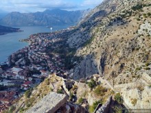 Альбом отзыва "Котор — от слова «кот»?"