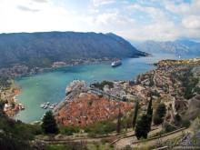 Альбом отзыва "Котор — от слова «кот»?"