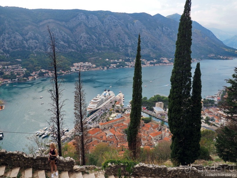 Альбом отзыва "Котор — от слова «кот»?"