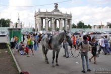 Москва, выходной. Операция Буран.