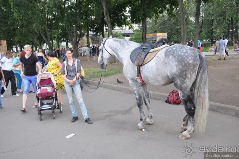 Москва, выходной. Операция Буран.