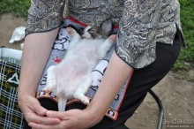 Москва, выходной. Операция Буран.