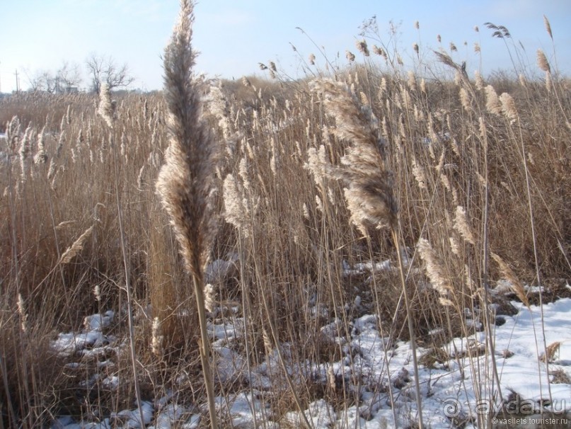 Пробег по замерзающей Украине. Сумы-Керчь-Порт Кавказ.