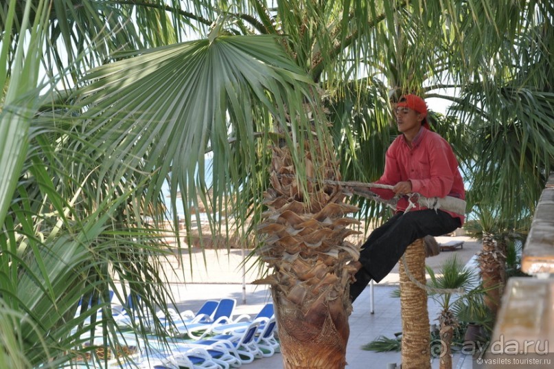 Хургада обрусевшая, местами охамевшая