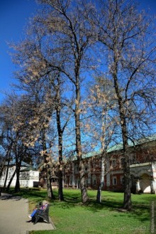 Круизный Ярославль