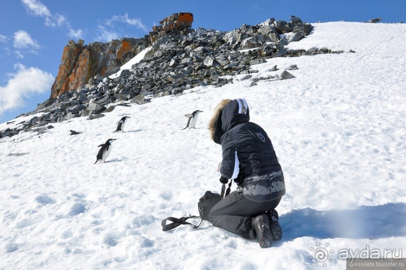 Прощай Антарктика, здравствуй Пасха