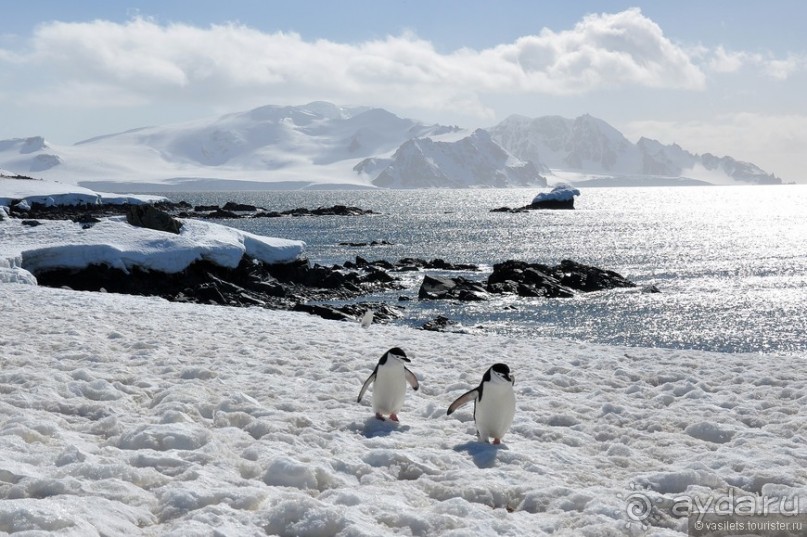 Прощай Антарктика, здравствуй Пасха