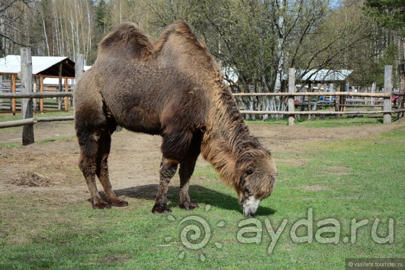 Круиз-круиз по Волге вниз