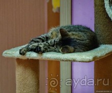 Круиз-круиз по Волге вниз