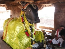 Древняя Индия изнутри: Бадами-Паттадакал-Айхоле