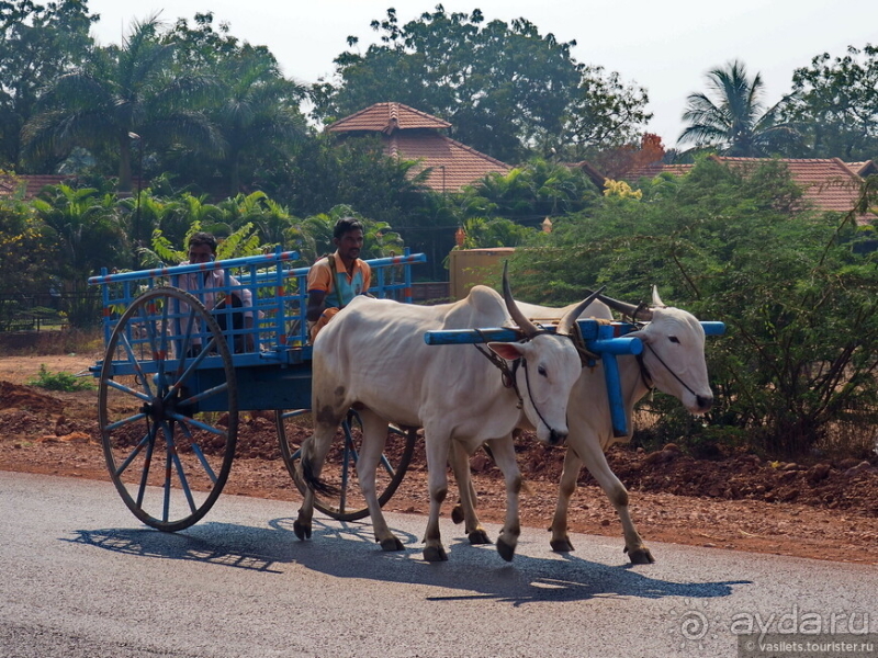 Древняя Индия изнутри: Бадами-Паттадакал-Айхоле