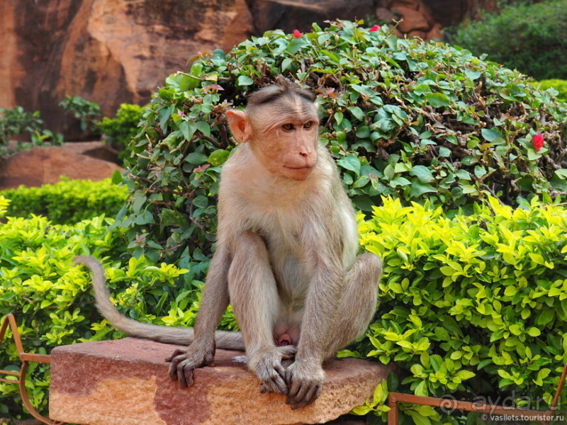 Древняя Индия изнутри: Бадами-Паттадакал-Айхоле