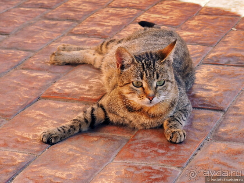 Не Тульским пряником единым
