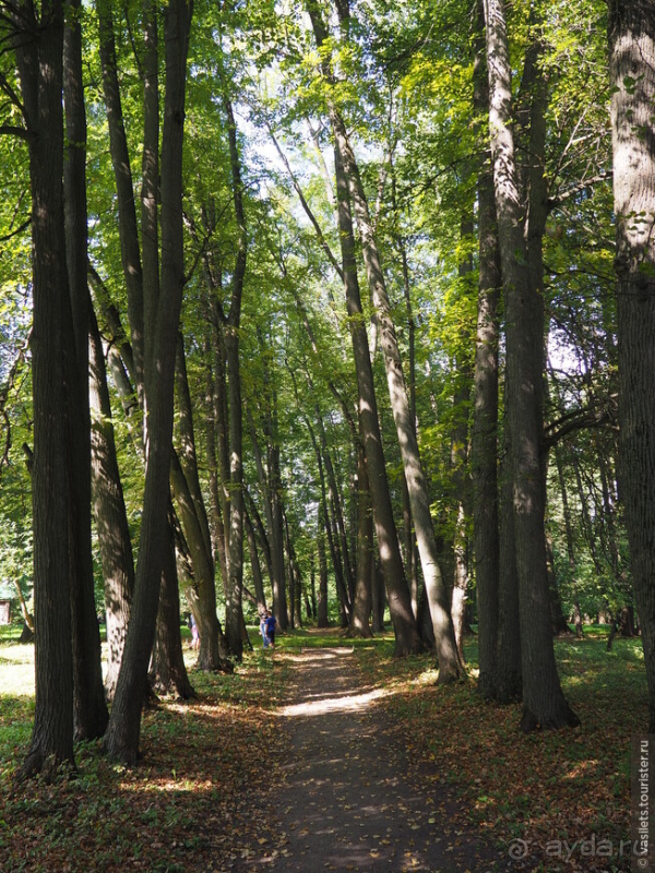 Не Тульским пряником единым