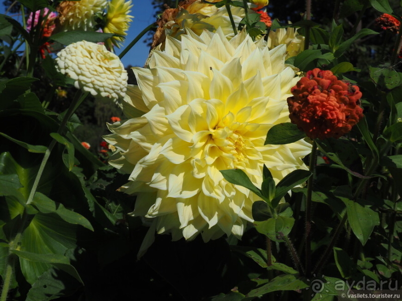 Не Тульским пряником единым