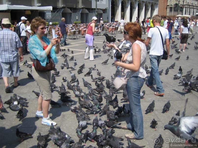 Чарующая Венеция