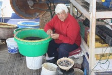 Гран-Мелия, что рядом с Агиос-Николаис