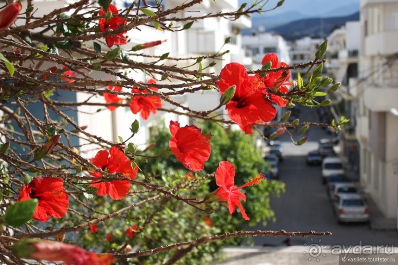 Гран-Мелия, что рядом с Агиос-Николаис