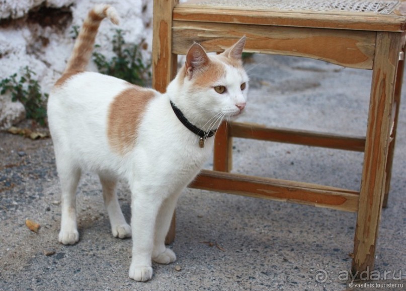 Гран-Мелия, что рядом с Агиос-Николаис