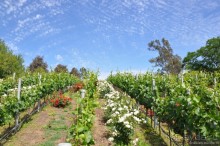 Сантьяго и Вальпараисо — две стороны Чили