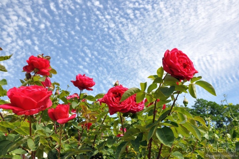 Сантьяго и Вальпараисо — две стороны Чили