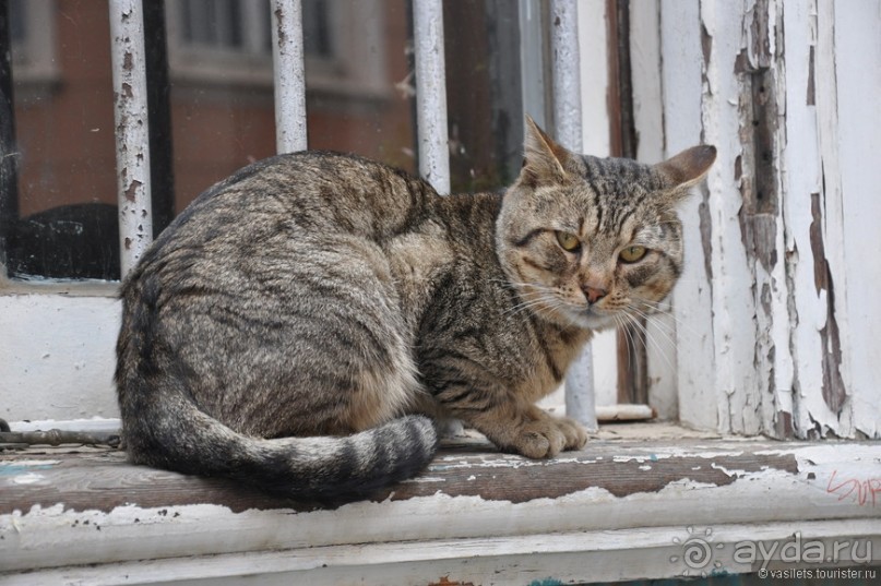 Сантьяго и Вальпараисо — две стороны Чили