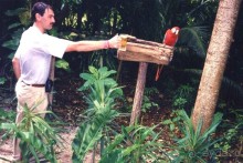 Не ту страну назвали Гондурас