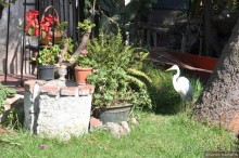 Мехико и пирамиды Теотиукана