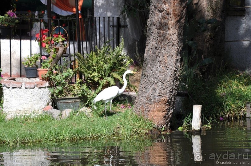 Мехико и пирамиды Теотиукана