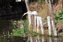 Мехико и пирамиды Теотиукана