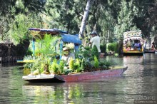 Мехико и пирамиды Теотиукана