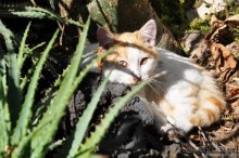 Мехико и пирамиды Теотиукана