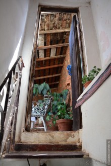 Куба. Парадоксы социализма и короновируса