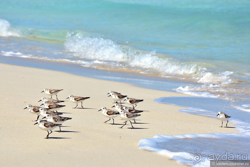 Куба. Парадоксы социализма и короновируса