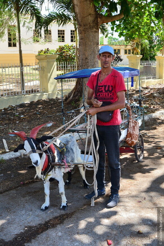 Куба. Парадоксы социализма и короновируса