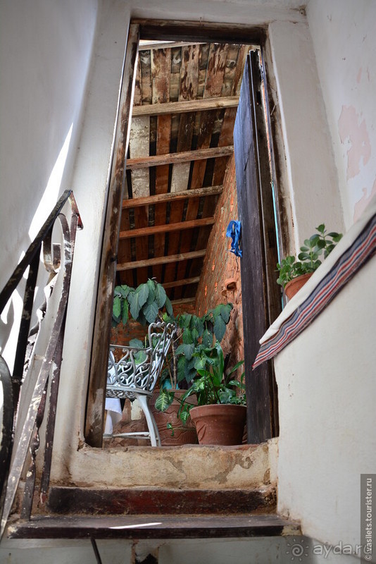 Куба. Парадоксы социализма и короновируса