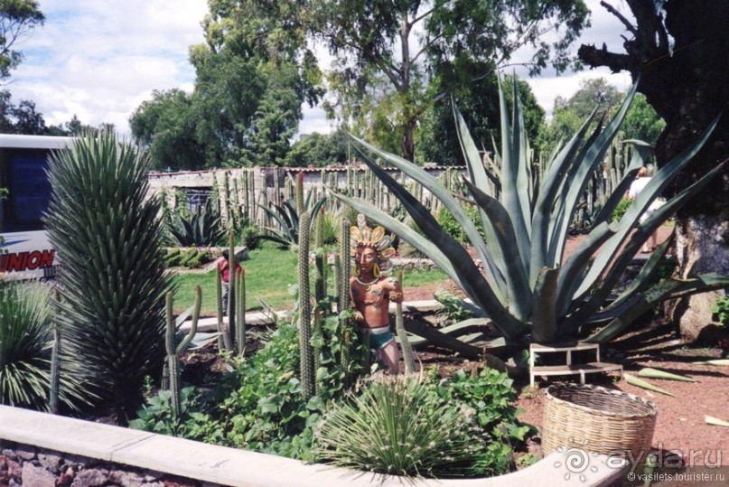 Мексика с приставкой супер