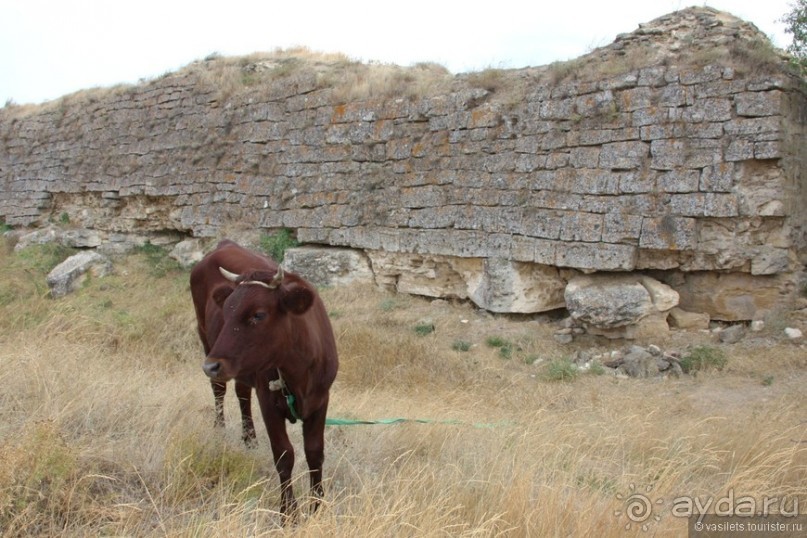 Керчь - степь, вулканы, ностальгия