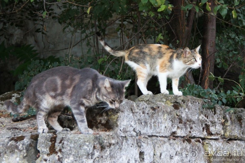 Керчь - степь, вулканы, ностальгия