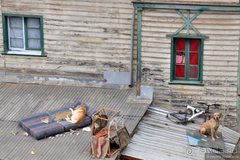 Чили. Вальпараисо.Винья-дель-мар.