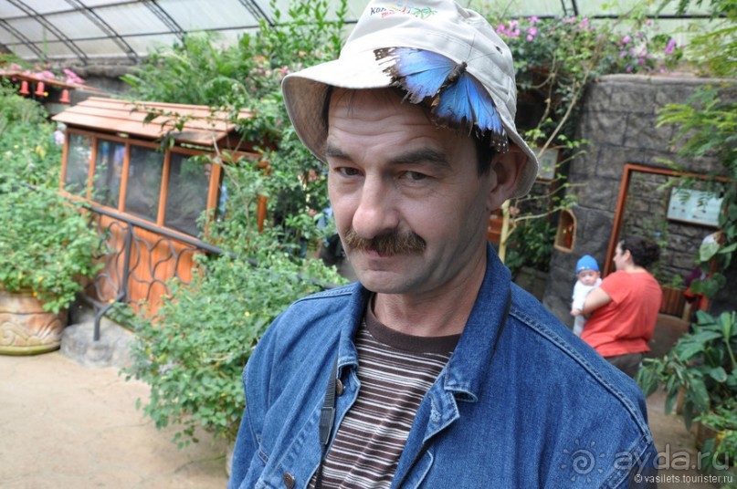 Активная Коста-Рика (часть 2)