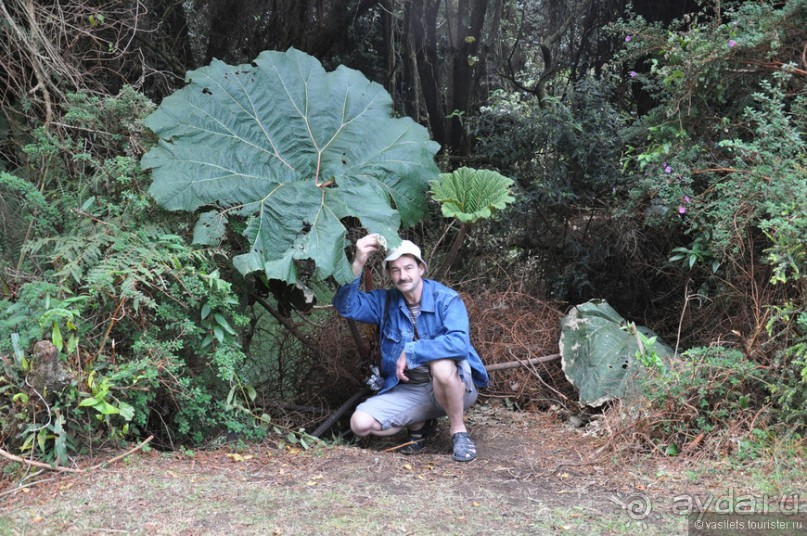 Активная Коста-Рика (часть 2)