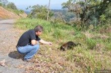 Активная Коста-Рика (часть 2)