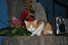 Активная Коста-Рика (часть 2)