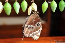 Активная Коста-Рика (часть 2)