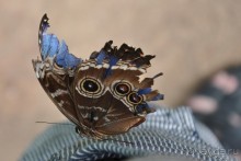 Активная Коста-Рика (часть 2)