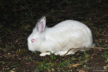 Активная Коста-Рика (часть 2)