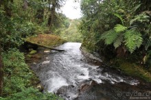 Активная Коста-Рика (часть 2)