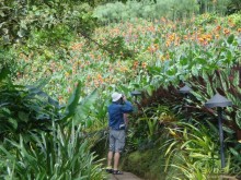 Активная Коста-Рика (часть 2)