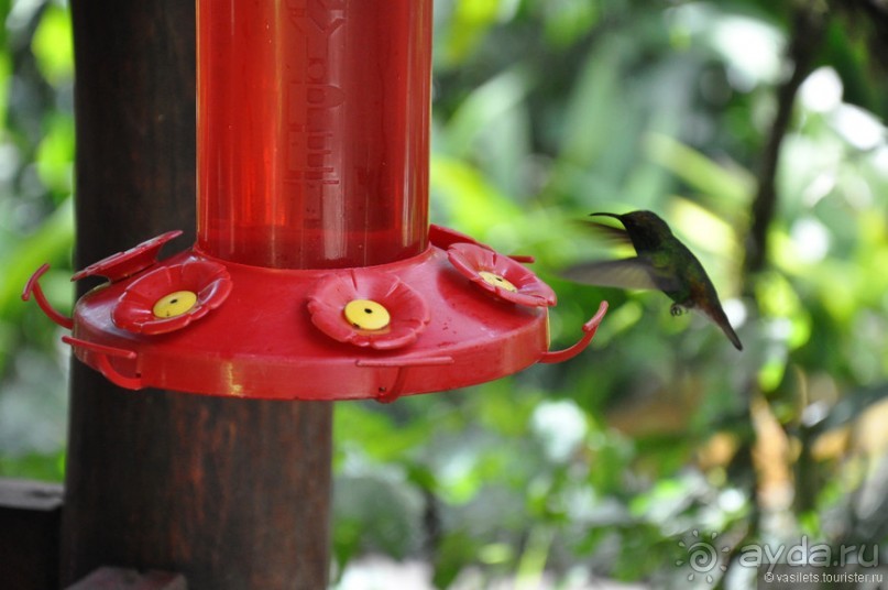 Активная Коста-Рика (часть 2)